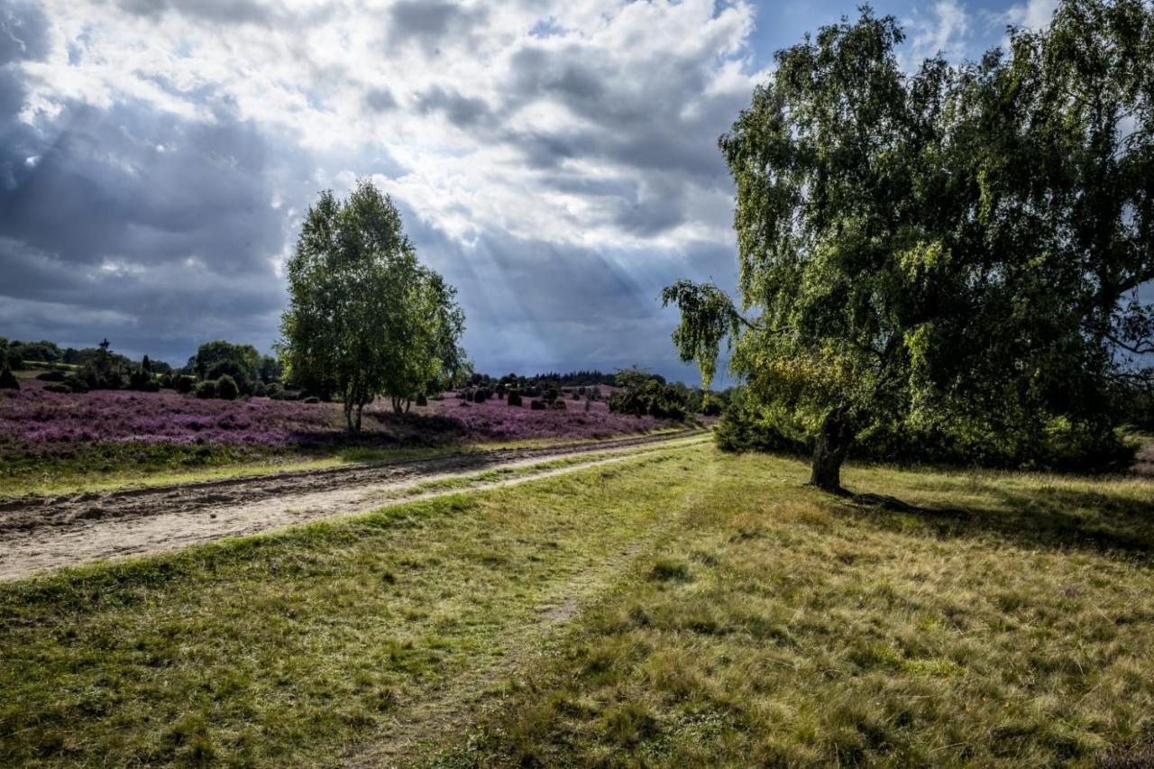 Ferienwohnung Heide View Биспинген Екстериор снимка