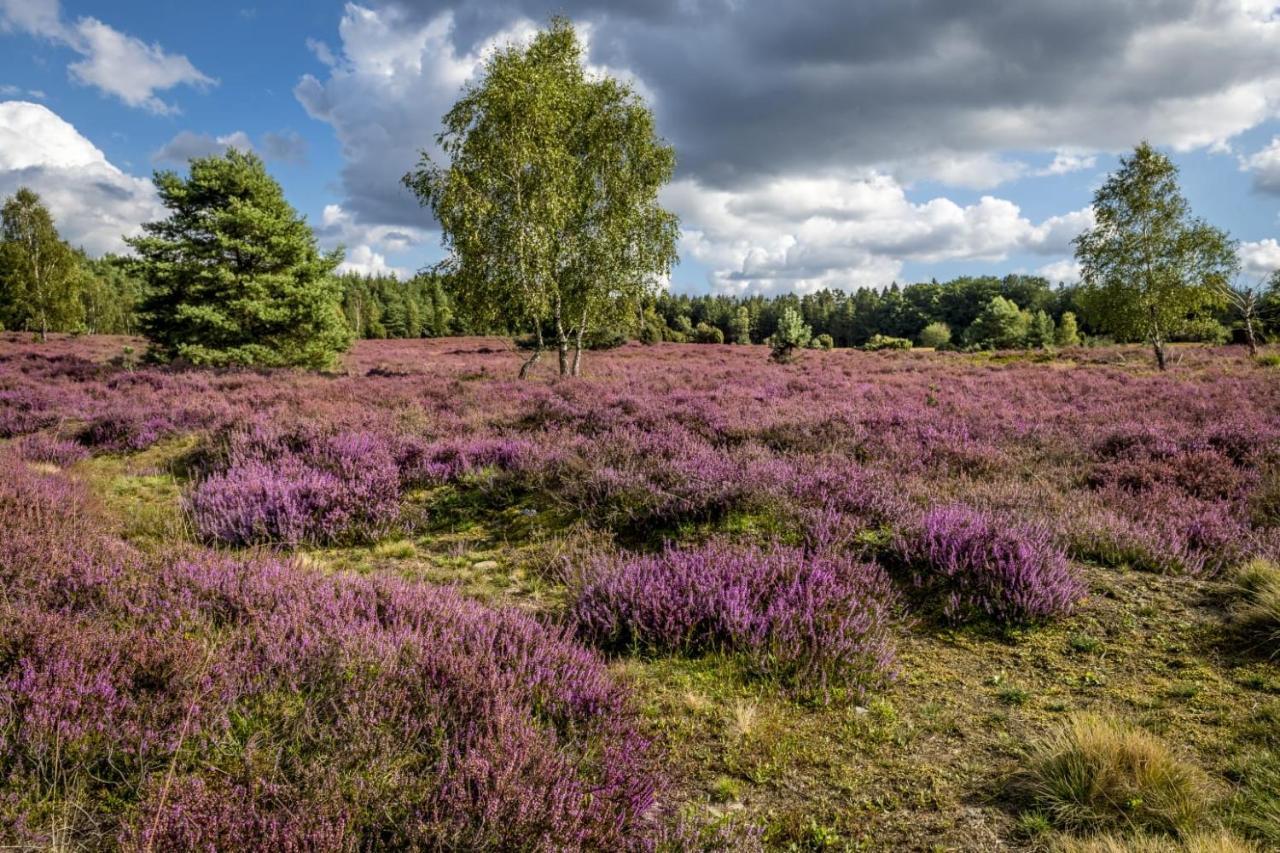 Ferienwohnung Heide View Биспинген Екстериор снимка