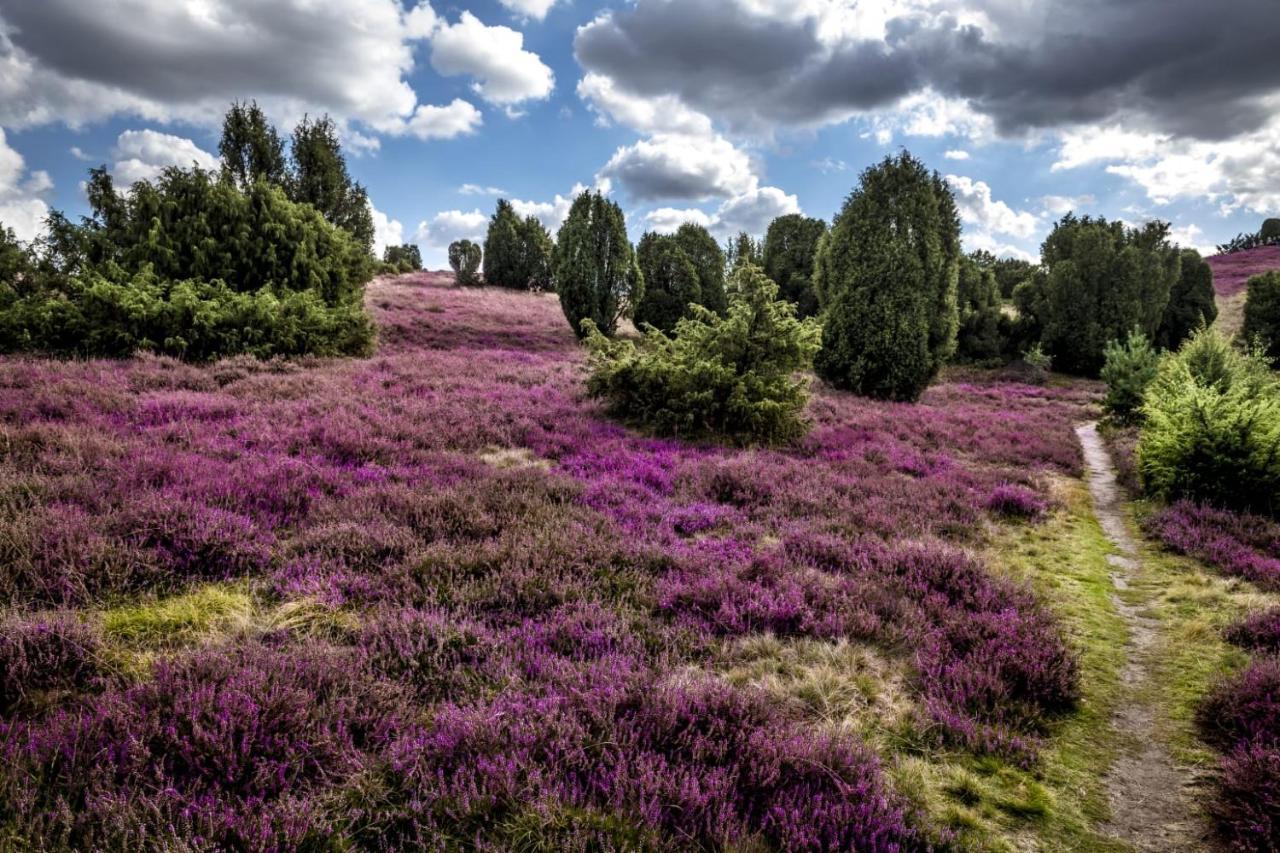 Ferienwohnung Heide View Биспинген Екстериор снимка
