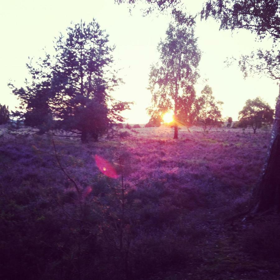 Ferienwohnung Heide View Биспинген Екстериор снимка