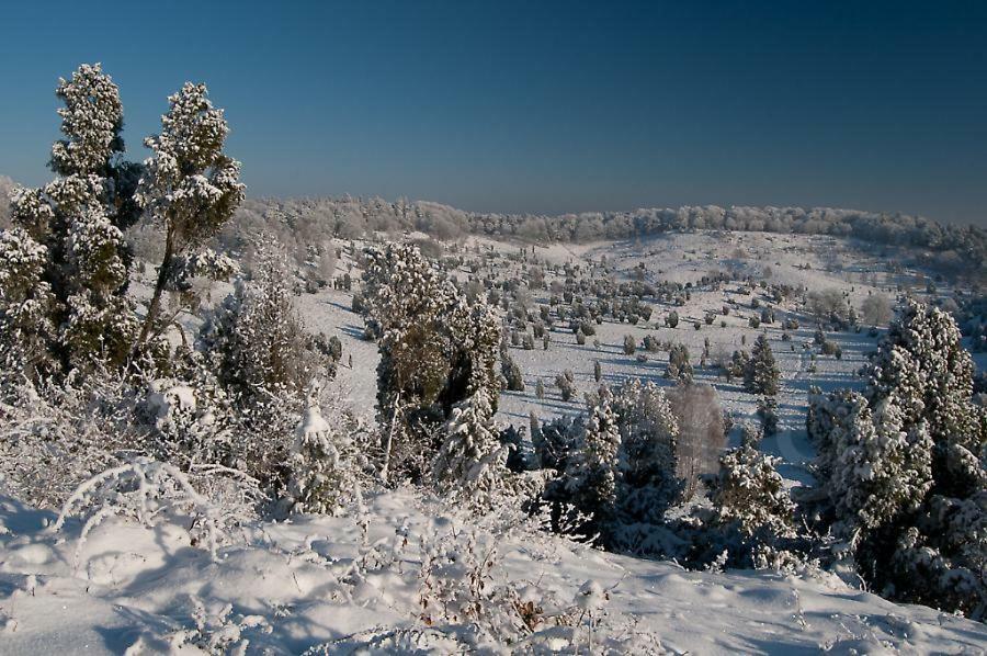 Ferienwohnung Heide View Биспинген Екстериор снимка