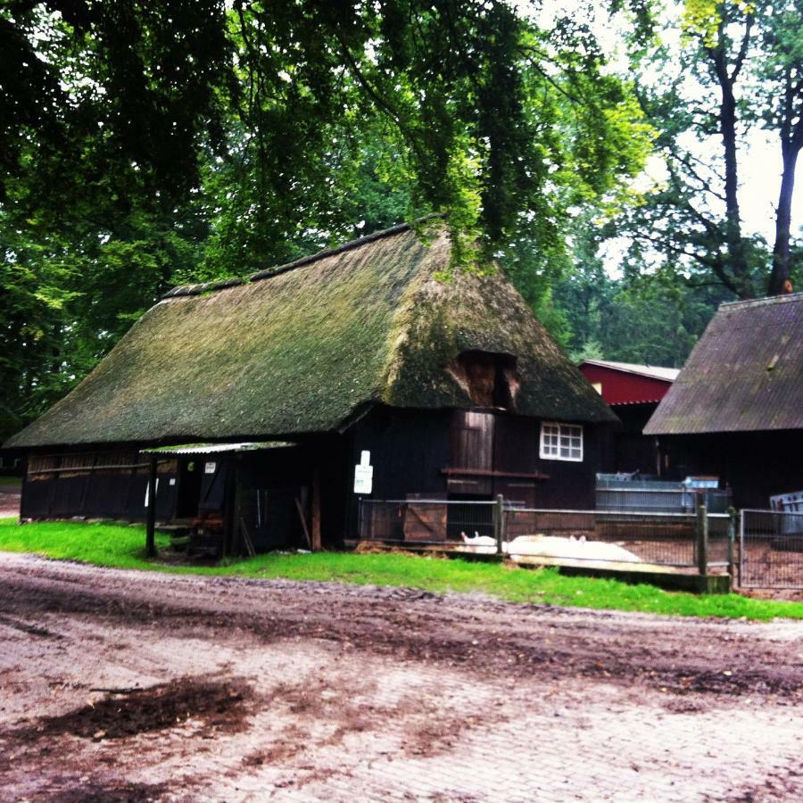 Ferienwohnung Heide View Биспинген Екстериор снимка